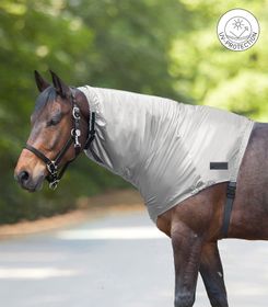 Waldhausen Ekzemer-Halsteil in silbergrau