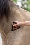 MagicBrush Triangle