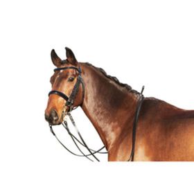 Euroriding Kandare "Lack" Natural Line 