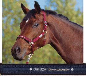 ESKADRON Halfter Trend Schiebeschnalle in navy 