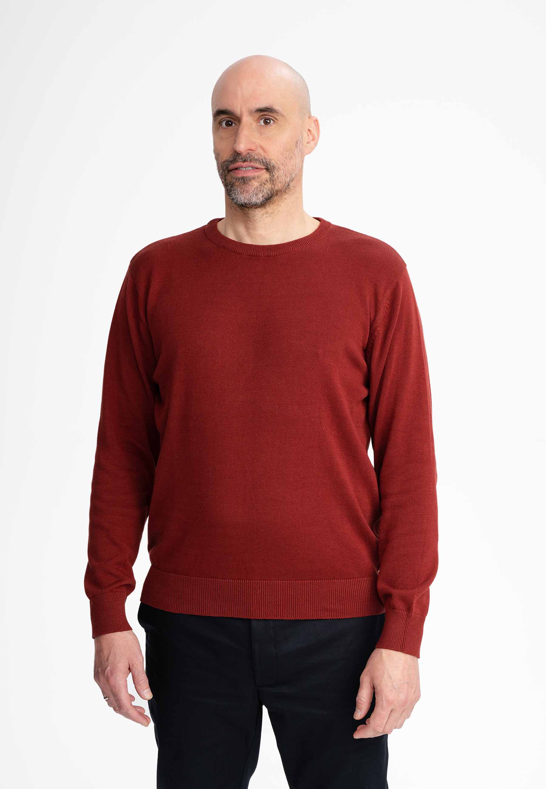 Herren Feinstrick Pullover HIMAL