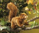 39096-Handpuppe-Eichhoernchen-natur.jpg