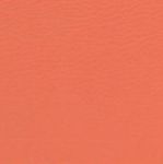 fiofit-orange-kunstleder.JPG