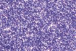 F231928.jpg