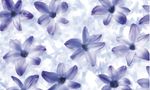 F86102-transparentpapier-blume.jpg