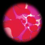 40425-violettrot.jpg