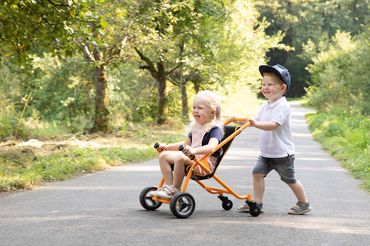 Top Trike Outdoor Buggy