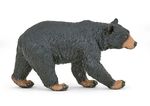 50271.jpg