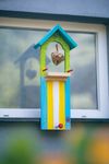 62084-Vogelbeobachtungssttion-bunt-1.jpg