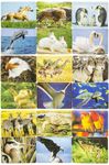 70039-Puzzle-alle-motive-2.jpg