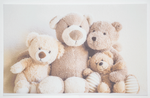 80053-schallfresser-echtbild-muster-baer.png