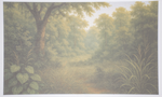 80053-schallfresser-echtbild-muster-lichtung.png