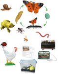 62085-Entwicklungs--und-Beobachtungs-Set.JPG