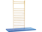 5151--sprossenwand-Einzelfeld.png