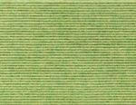 622-Wasabi--.jpg