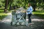 50707-Cabrio-Waggon-outdoor-emotion.png