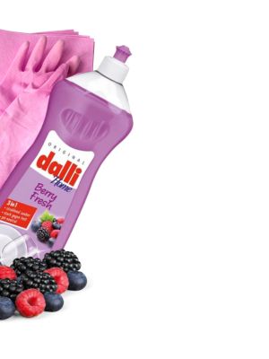 Mega-Einkaufsparadies Küchenreiniger