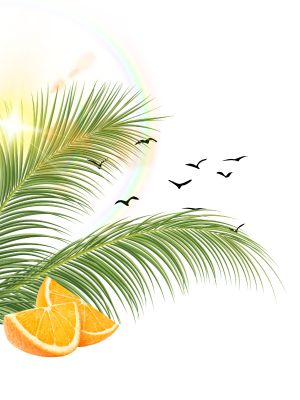 Boutique en ligne plentyShop LTS Right