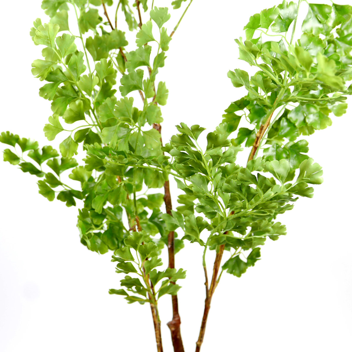 Kunstpflanze Gingko knstliche Zimmertopfpflanze grn Hoch 110cm |  Mega-Einkaufsparadies