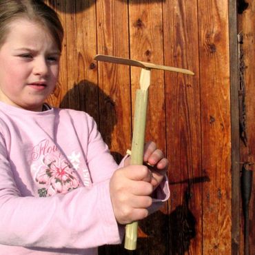 Super-Bambus-Libelle | Edunikum.de - forschen, entdecken, verstehen:  Schulbedarf, Lernspielzeug, Lehrmittel