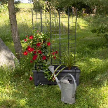 Pflanzkasten mit Rankgitter NYVIGreen 79x35x135 cm 42 Liter mit Bewässerungssystem - Pflanzkübel Spalier aus wetterfestem & recyceltem Kunststoff, Farbe: Anthrazit