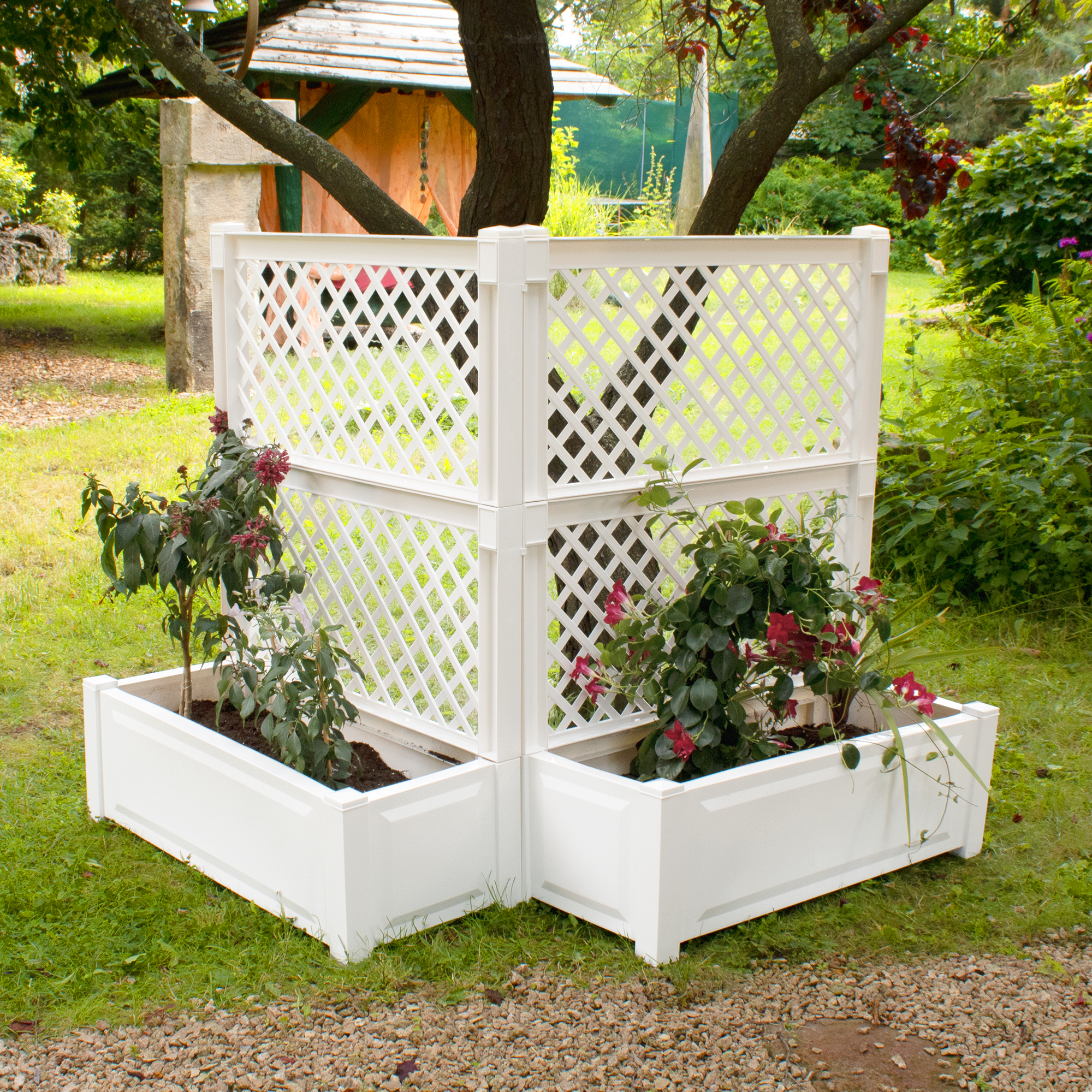 blumenkasten sunny aldi nord Balkonbox Desert Dream kaufen