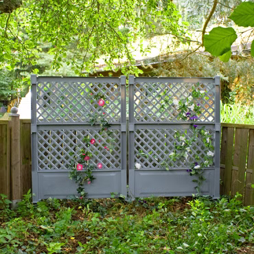2er Set Spalier (2-teilig) 100cm mit Erdspieß, Farbe: Grau