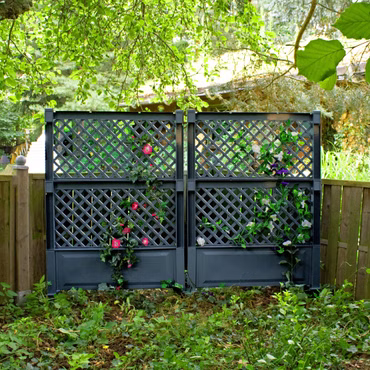 2er Set Spalier (2-teilig) 100cm mit Erdspieß, Farbe: Anthrazit