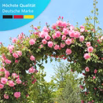 01-DE-Rosenbogen02.jpg