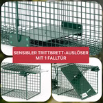 05-5002-de-1-.jpg