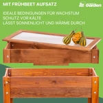 02-braun_1.jpg