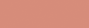 PNZ COLORS OF INTUITION