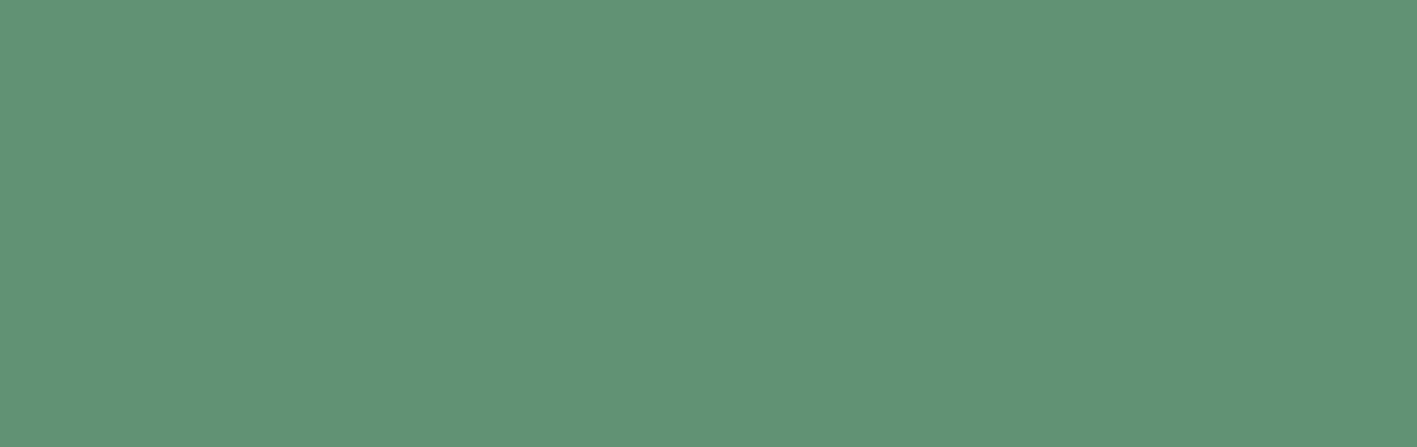 PNZ COLORS OF INTUITION
