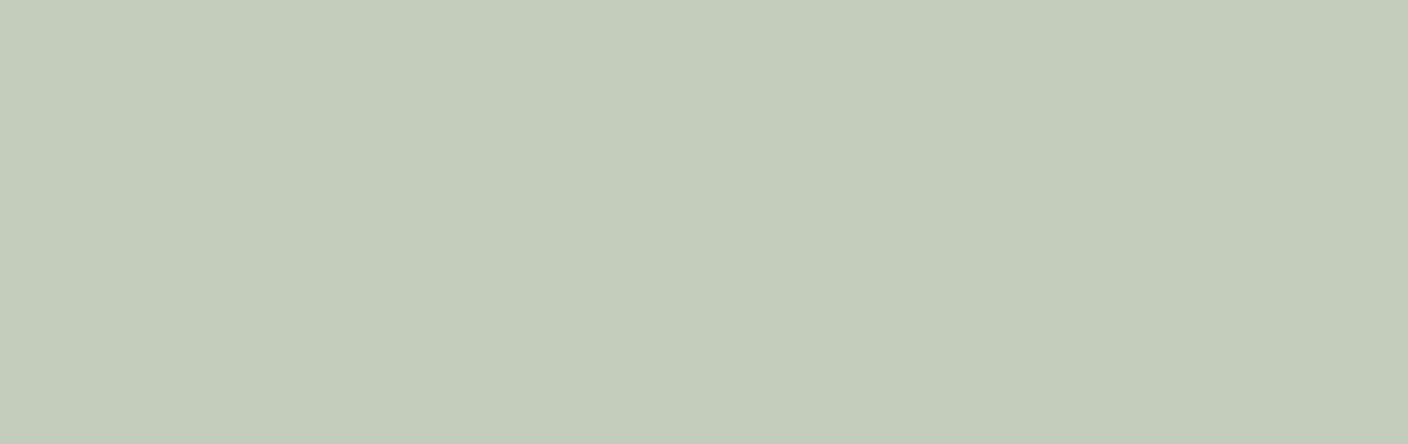 PNZ COLORS OF INTUITION