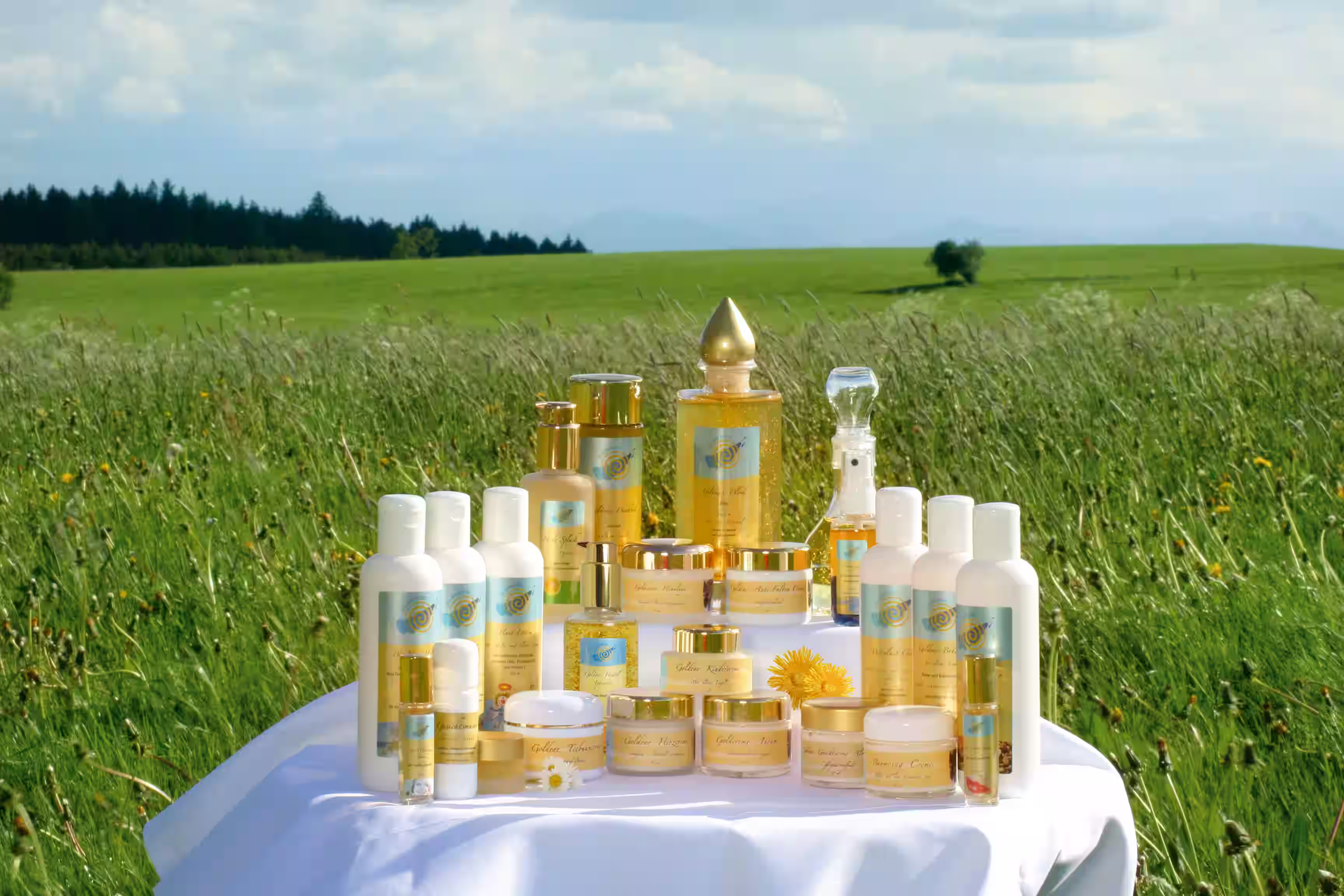 Kosmetik-Reihe von chi-enterprise inklusive Goldkosmetik-Reihe.