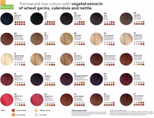 61170-Haarfarbe-Martis-Respect----Ammonia-Free---_1.jpg 61170-Haarfarbe-Martis-Respect----Ammonia-Free---_1.jpg