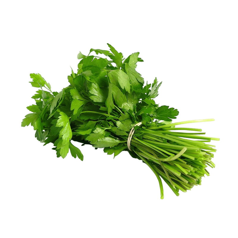 Jamoona Fresh 1 Bunch Fresh Dhaniya (Coriander leaves)