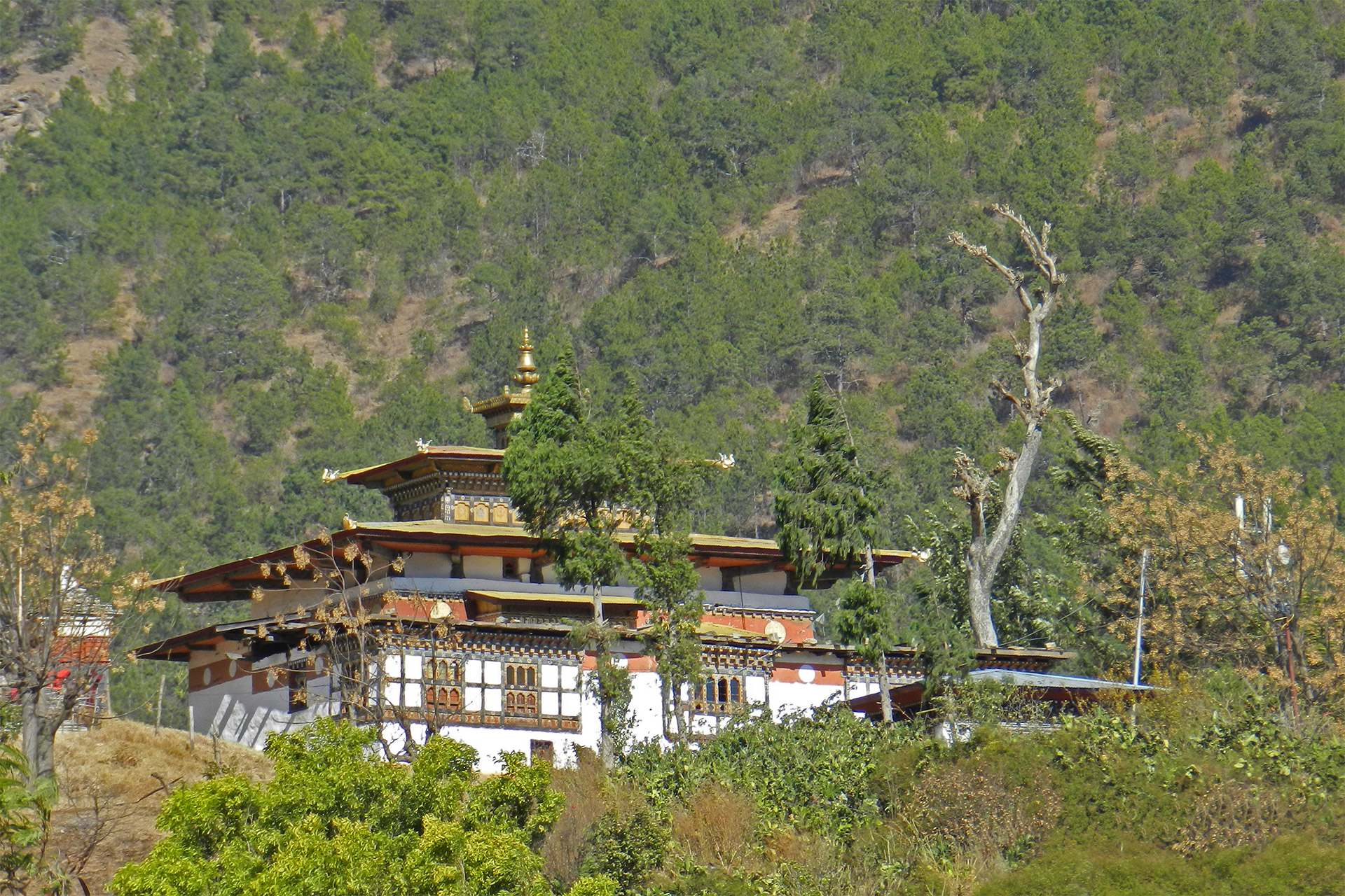 Kaschmir