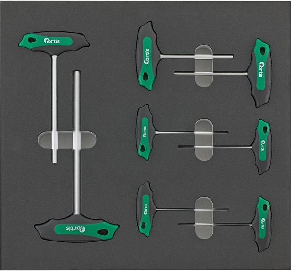 Werkzeugmodul 2/3 T-Griff Innensechskant FORTIS
