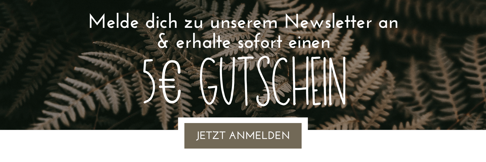 Newsletter