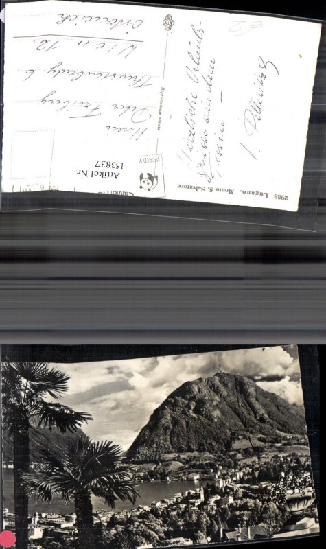 100106231