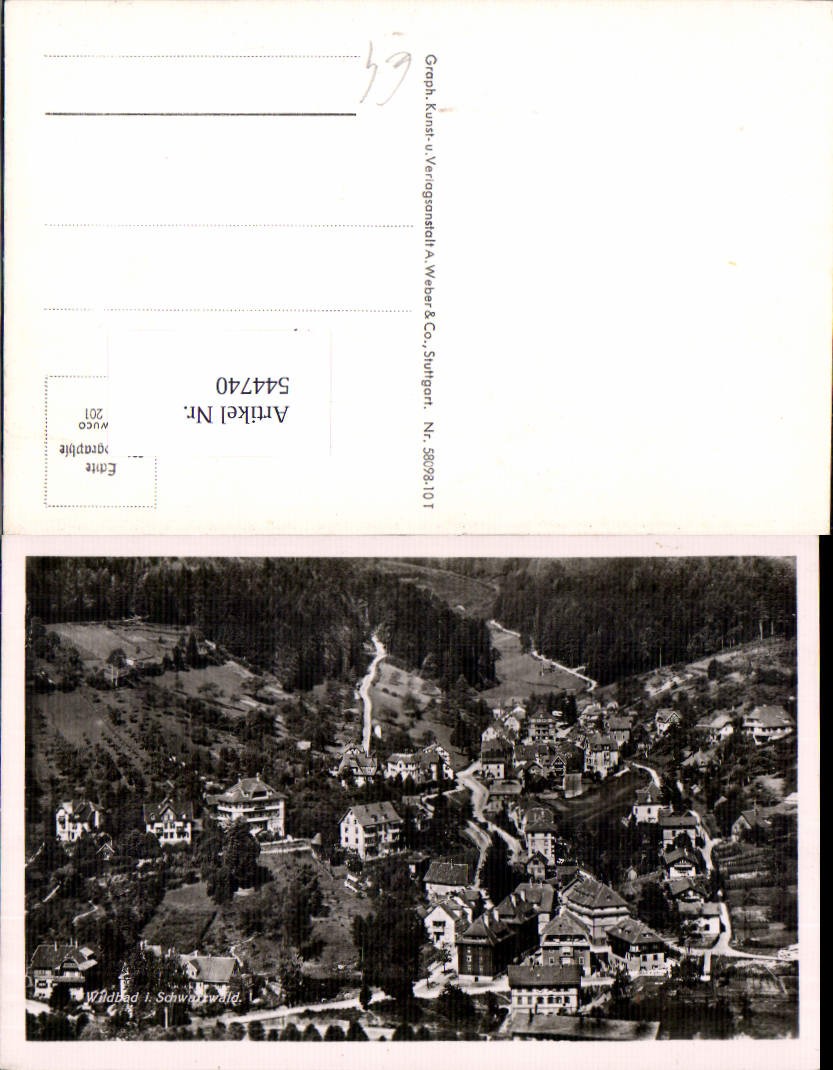 1004323631