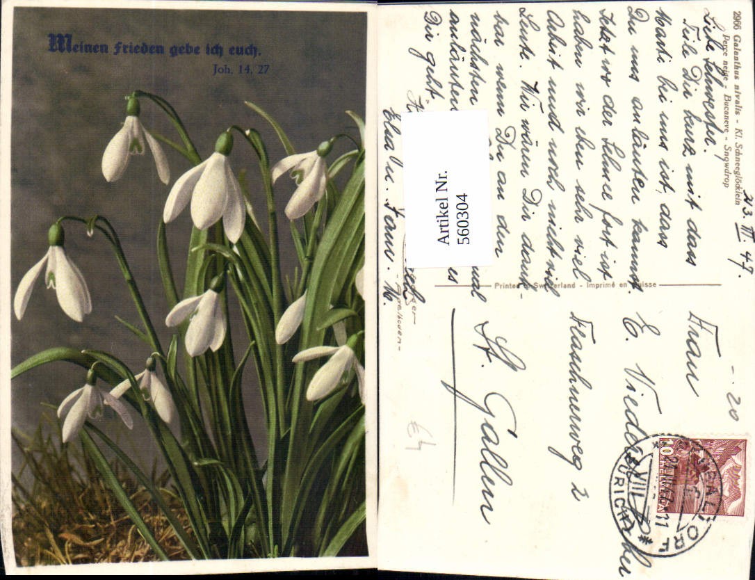 560304,Schneeglöckchen Blumen | www.ansichtskartenhandel.at