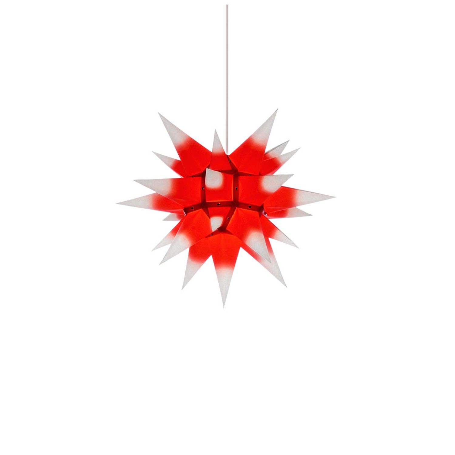 zitronengras zimmerpflanze Saatgut Zitronengras - Cymbopogon flexuosus