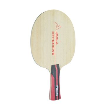 JOOLA J-Holz Offensive