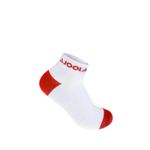 HVJOL93352-JOOLA-SOCKEN-SNEAKER-TERNI-23_1.jpg