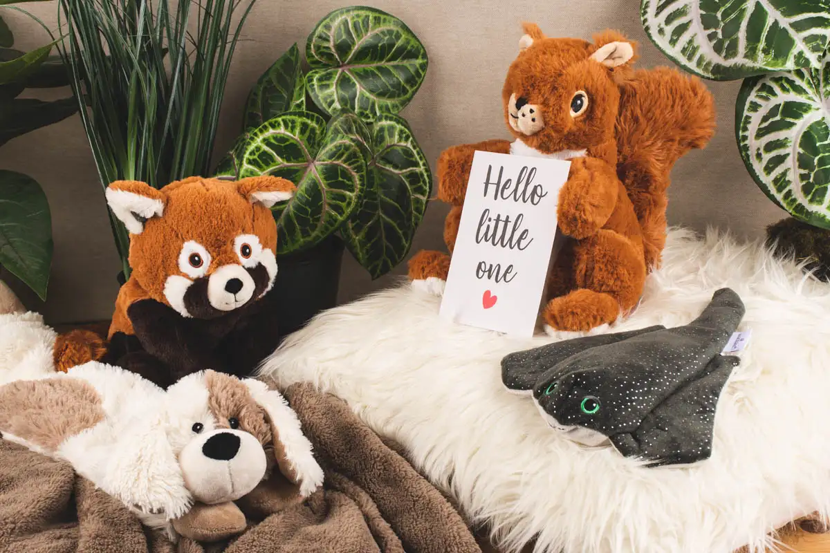 Gruppenbild Wärmetiere: Eichhörnchen, Rochen, Hund