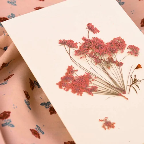 Postkarte mit Trockenblumen für ein Geschenk für Frauen