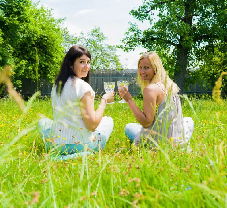 Frauen sitzen auf einer Picknick Decke im Gras und stoßen auf die Gartenzeit an