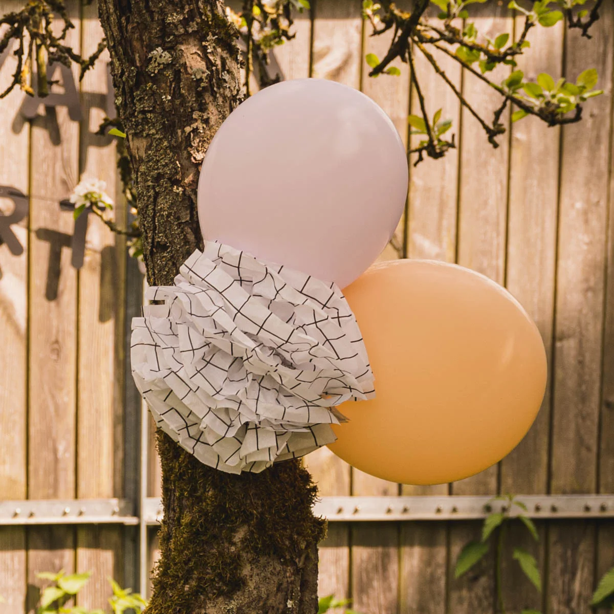 Luftballons und PomPoms als Partydekoration im Garten Luftballons und PomPoms als Partydekoration im Garten